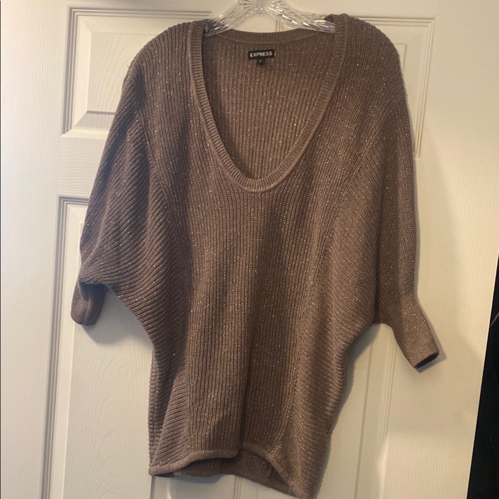Express Taupe V-Neck Sweater with Dolman Sleeves